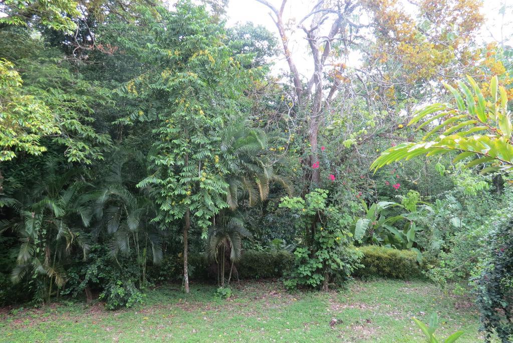 Apartamento Karibu มานูเอล อันโตนิโอ ห้อง รูปภาพ