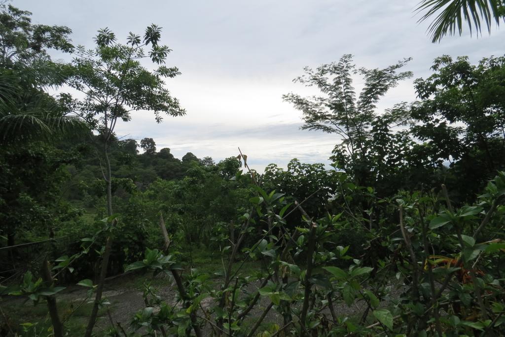 Apartamento Karibu มานูเอล อันโตนิโอ ห้อง รูปภาพ